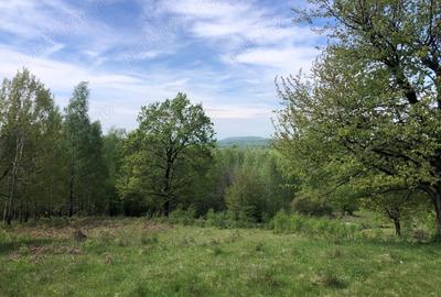 Teren Zona Turistica Transalpina - Pestera Muierilor 9.746 mp - 6