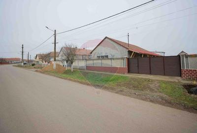 Casă cu Teren 3474 Mp în Sânnicolau Român - 12