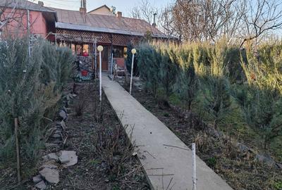 Casă cu 4 camere în Central - 4