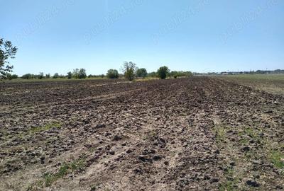 Teren de 8643 mp, în Postăvari - 3