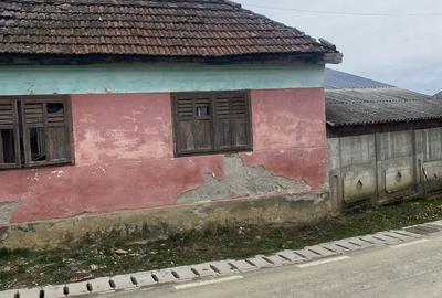 Casă cu 3 camere în Exterior Vest