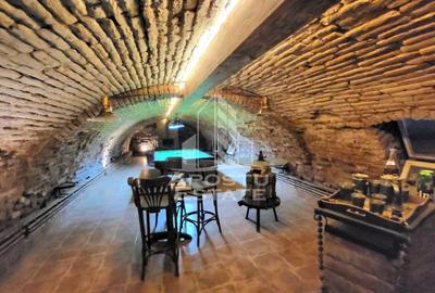 Casa individuala,independenta energetic, 5 camere,teren3783,Peciu Nou - 16