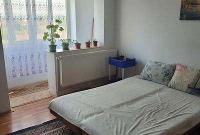 Garsonieră în Preajba Mare - 3