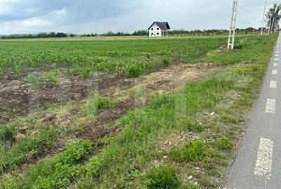 Teren de 4900 mp, în Central - 1