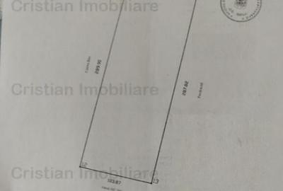 Teren intravilan de constructii Chercea St - 30000 mp cu 50m - 1