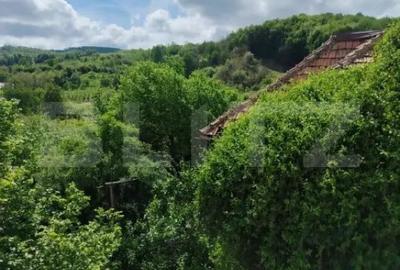 Casă cu 3 camere cu Teren 1500 Mp în Gemenea-Brătulești - 14