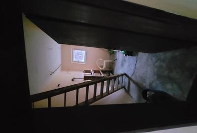 Vand casa in serbia jasa tomic - 2