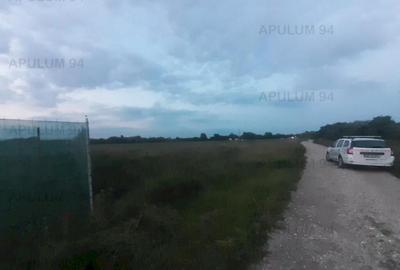 Teren aproape de Bucuresti langa padure - 1