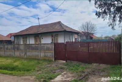 Ocazie,proprietar, casa cu utilita?i cu 1300 mp teren in Dascalu la 11 km de centura capitalei