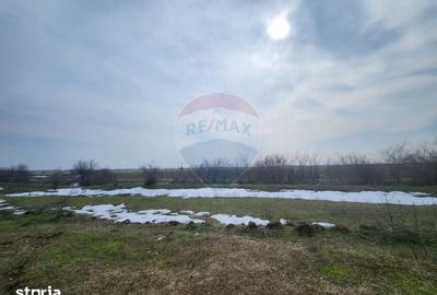 Teren de 34260 mp, în Ciorogârla - 1