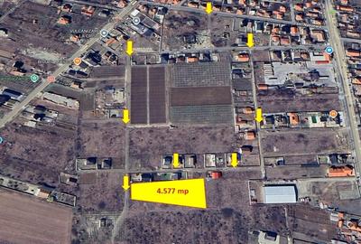 Teren Construcții intravilan de 4577 mp, în Șimian - 3
