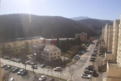 Apartament cu 3 camere decomandat în Valea Cetății - 9