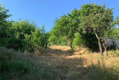 Casă cu 2 camere în Vârvor - 2