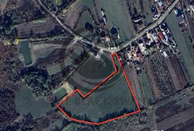 Teren de 11000 mp, în Ghirdoveni - 4