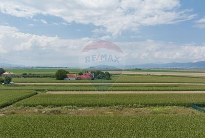 Teren Construcții intravilan de 1463 mp, în Stupini - 2