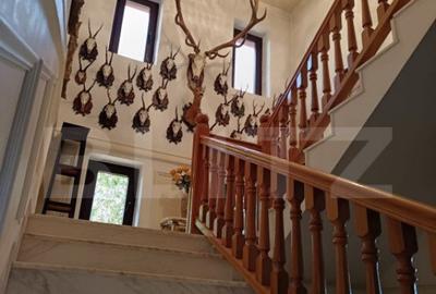 Villa deosebita 6 camere,central Paulesti teren 1150mp compl - 4