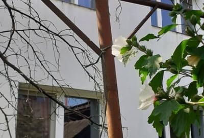 Casă cu 4 camere cu Teren 710 Mp în Central - 4