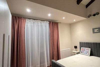 Penthouse in zona Telegrafului - 3