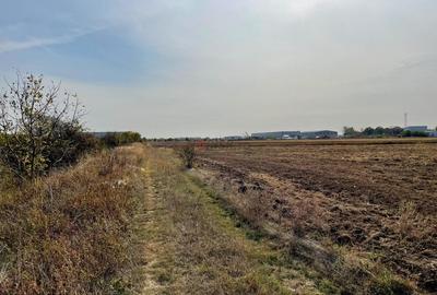 TEREN Dezv Logistica 2500mp posib extindere Centura CHITILA Rudeni - 7