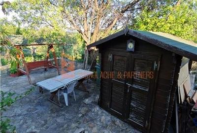 EXCLUSIVITATE! Casa+teren si cabana de lemn zona Naeni - 29