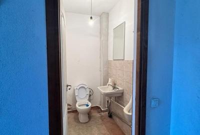 Spațiu comercial, de 360 mp, în Brestei - 17