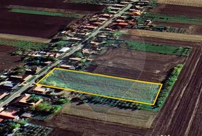 Teren de 5018 mp, în Variașu Mare - 4