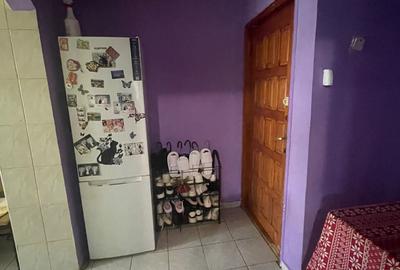Apartament cu 2 camere semidecomandat, mobilat în Splai Bahlui - 2