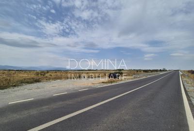 Teren intravilan - 1070 mp - str. Ciocarlau - spre Preajba - 9