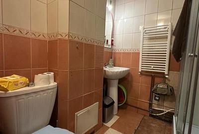 Inchiriere Apartament cu 2 camere Decomandat Podul de Fier - 7