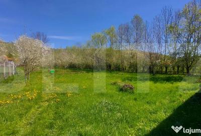 Casă cu 2 camere cu Teren 3100 Mp în Lisnău - 8