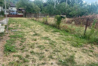 Casa batraneasca +pamant - 3