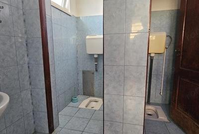 Proprietate multifunctionala, com.D-va Rosie,casa+spatiu comercial+teren - 17