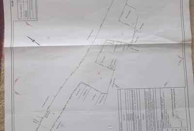 Casă cu 4 camere cu Teren 10700 Mp în Obârșia - 2