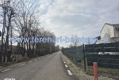 Teren de 500 mp, în Balotești - 6