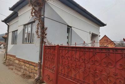 Casă cu 4 camere în Vlaha - 7