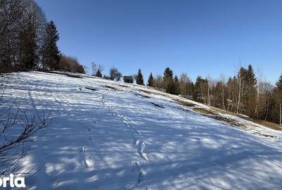 Teren de 21053 mp, în Vama - 9