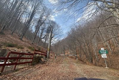 Teren agricol extravilan de 39.5 mp, în Măneciu - 4