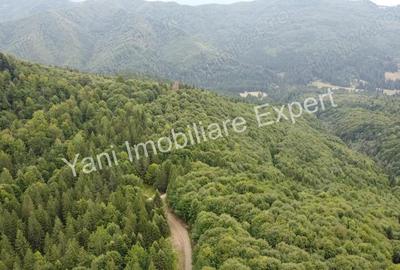 Teren de vanzare in apropiere de Transfagara?an ?i Valea Valsanului. - 9