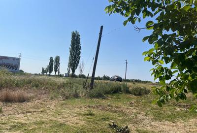 Teren de 7165 mp, în Braniștea