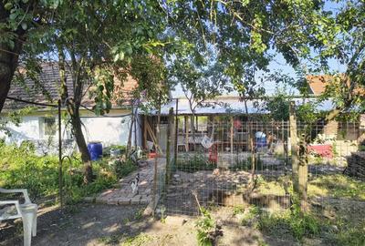 Vand Casa Buzia? - 4