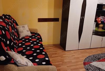 Gazda pentru o fata in Pscurari - 3