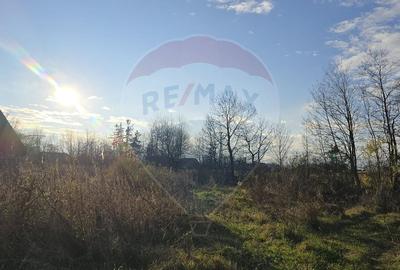 Teren  de vanzare in Fratautii Noi / Strada Dealului - 14