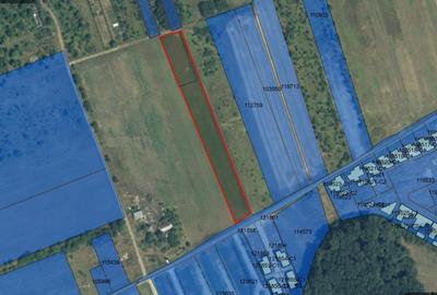 Teren de 5000 mp intravilan în Corbeanca – zonă rezidențială nouă Teren de 5000 mp intravilan în Corbeanca – zonă rezidențială nouă - 7