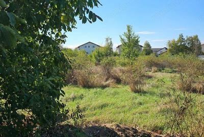 Comuna 1 Decembrie, Jud. Ilfov, teren strada Sperantei - 3