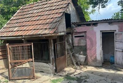 RECO casa batraneasca Sacueni - 1