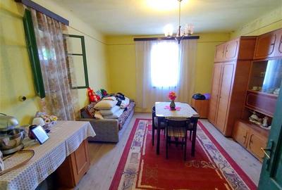 Casă individuală cu 8 camere cu Teren 3800 Mp în Răchitova - 25