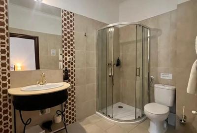 Spațiu comercial, de 990 mp, în Elisabetin