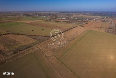 Spațiu comercial, în Săftica - 18