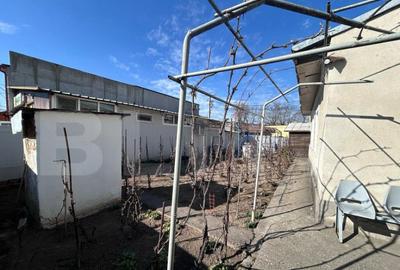 4 spatii comerciale, divizate curte comuna, Bazda lui Novac - 6