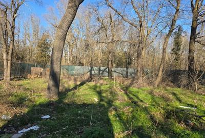 Neptun - Teren construibil in Padurea Comorava - 5